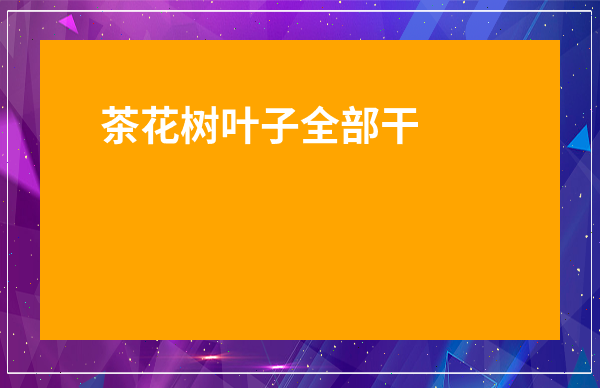 茶花樹葉子全部干枯怎么辦-茶花葉子綠色干枯