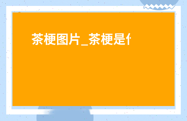 茶梗圖片_茶梗是什么茶