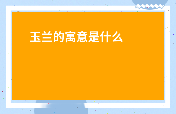 玉蘭的寓意是什么意思-玉蘭花的寓意和風(fēng)水