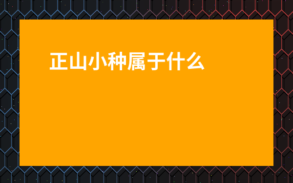 正山小種屬于什么檔次-正山小種茶多少錢一斤