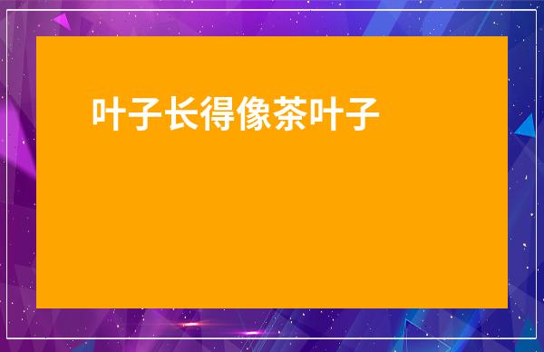葉子長得像茶葉子的菜-像茶葉一樣的菜叫什么菜啊