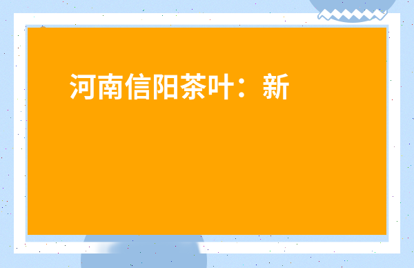 河南信陽茶葉：新手避坑指南？從選購到品鑒的實用攻略