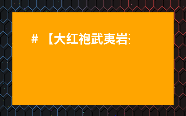 # 【大紅袍武夷巖茶禮盒多少錢一盒？2024年超全價格揭秘與選購指南！】