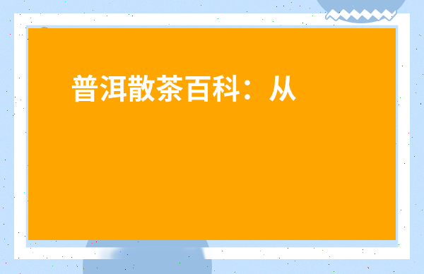 普洱散茶百科：從新手到老饕，你必須知道的那些事兒！
