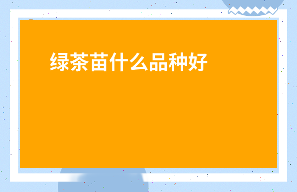 綠茶苗什么品種好-茶葉苗品種大全